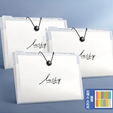 HERON 3개입 아코디언 투명 8칸 멀티 파일홀더 서류정리 케이스, LUCKY, 3개