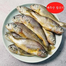 맛 좋은 제주도 참조기 12마리 국산 구이용, 1개, 800g 이상