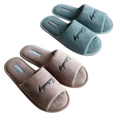 LABELLCO Hug Saterday刺繡室內拖鞋組 2款入, 棕色，薄荷