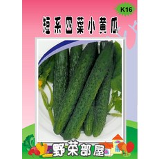 【野菜部屋~】K16 短系四葉小黃瓜種子中包裝 肉質鮮脆~, 1包