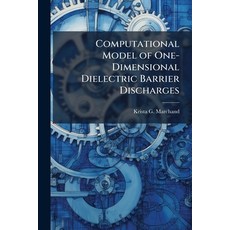(英文圖書)Computational Model of One-Dimensional Dielectric Barrier Discharges 平裝版, Hutson Street Press, 英文