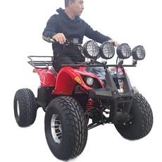 농사용 사발이 전동 바이크 사륜 리틀불패키지 산악오토바이 산악용 황소, 1. 패키지 1