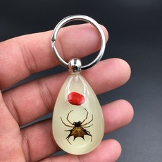 곤충 표본 펜던트 열쇠고리 관찰 학습 성장 실제 과학, 팥 거미