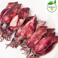 여수 제철 급냉 생물 총알 반건조 한치, 1개, [국산] 급냉한치 500g / 10-20미 내외