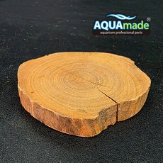 아쿠아메이드 절단유목 S 1cm(두께) 모스 이끼 활착 새우 안시 놀이터, 1개