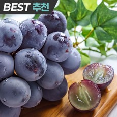 [마트납품]프리미엄 고당도 씨없는 거봉포도, 1개, 500g(특품)
