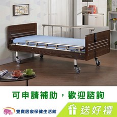 立新 兩馬達電動護理床