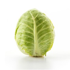 제주 달코미 미니양배추, 3kg