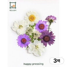 체크스토리 압화 컬러가든시리즈 누름꽃 꽃송이 압화재료 공예, 퍼플10(3팩), 퍼플