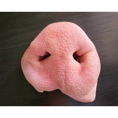 [생푸드] 돼지코 10개(한돈)(냉동), 10개