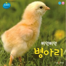 삐악삐악 병아리, 인북