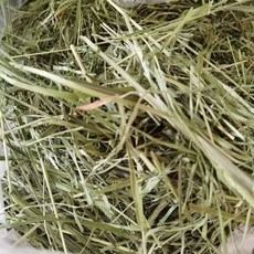 優質苜蓿草 提摩西草 家畜飼料 富含纖維、維生素與礦物質 1公斤裝, 1個