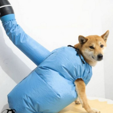 반려견 건조 가운 반려동물 애견 목욕타월 펫 드라이 가운 후드 드라이어 드라이기 건조복 용품 코트