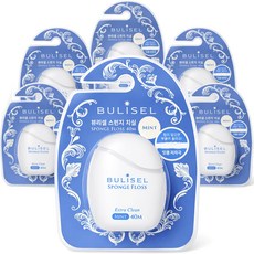 뷰리셀 스펀지 치실 엑스트라 클린 민트, 1세트, 6개입, 40m