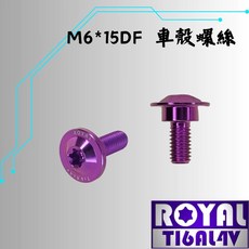 ROYAL 鈦合金螺絲 M6*15DF 車廂/車殼 專用螺絲, 1個
