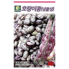 다농 호랑이콩 넝쿨성 씨앗 30g, 3개
