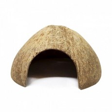 코코넛 은신처 애완용품 애견간식 바니펫, 없음