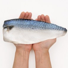 훈훈수산 제주고등어 대 6-7팩 내외 (1kg 내외), 1개