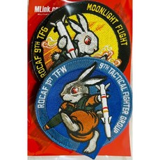 ROCAF 1ST TFW 臂章 ARM-1STTFW 飛行部隊臂章, 1個