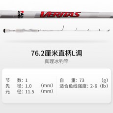阿布 便攜短節碳素冰釣竿套裝 休閒垂釣全套筏竿 冬釣船閥迷你海竿漁具, 76.2CM-L真理冰釣竿