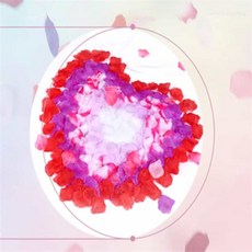 올데이 플라워샤워 꽃잎조화, 연핑크