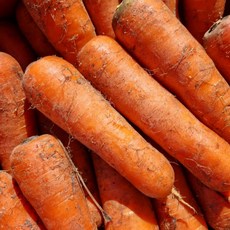 이모뜰 국내산 햇 당근 제주 구좌 흙당근 제주당근, 1개, 3kg 중