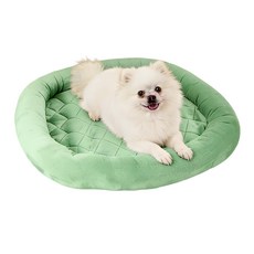 EMME 반려동물 베드 세탁용 미끄럼방지 쿠션 노견케어매트 소형견 중형견 유아견 통년사용 사계절 겸용 얇은형 겨울용 여름용 가을용 봄용 프란넬원단 편안한숙면 애견매트 강아지베드 고, 1개, green