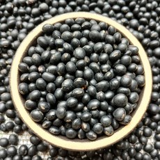 이슬처럼 국산 2025년산 약콩 5kg 쥐눈이콩 서목태 검은콩, 1개