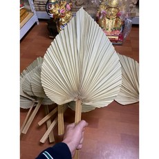 京綸 濟公扇 加大蒲扇 棕櫚葉 棕櫚扇 手工編織 輕巧便攜