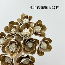 “Be a florist 花藝夢”高品質索拉 木片白頭翁 索拉 4公分(把)擴香花 乾燥花 永生花 不凋花, 原色