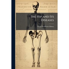 (영문도서)The Hip and Its Diseases Paperback, Hutson Street Press, English, 9781023814225