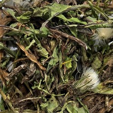 국산 흰민들레 포공영 민들레 뿌리 잎 꽃 포공령 천년건강 한방차, 1개, 200g