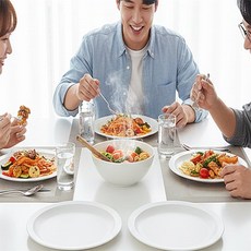 투유샵 뷔페접시 주방비품, 230mm