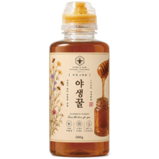[당월생산] 자연산 야생화꿀 100% 섞지 않은 오리지널, 1개, 500g