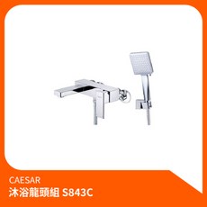 凱撒CAESAR 沐浴龍頭組S843C 沐浴龍頭 淋浴組 花灑組 蓮蓬頭 沐浴 淋浴水龍頭 洗澡, 1個