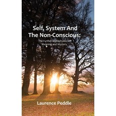 (영문도서) Self System and the Non-Conscious: The Further Metaphysics of Meaning and Mystery Hardcover, Cambria Books, English, 9781999612917