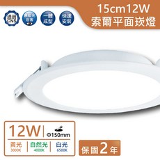 舞光LED 15cm 12W平面索爾崁燈(黃光/自然光/白光) 實體門市保固二年, 1個