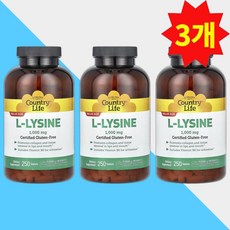 컨트리라이프 엘 리신 비타빈B6 1000mg 250정 라이신 L Lysine 3개