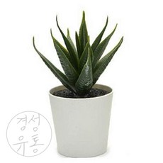 경성 인조 다육 화분 6cm 3p 조화식물 실내화분
