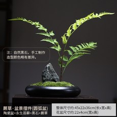 [와비사비] 영생 이끼 프리저브드 분재 오브제 모델하우스 호텔 젠스타일 장식, 고사리 둥근화분