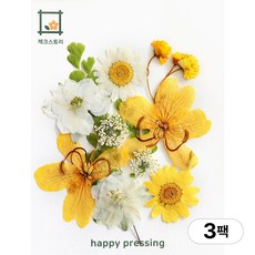 체크스토리 압화 컬러가든시리즈 누름꽃 꽃송이 압화재료 공예, 나비옐로우10(3팩), 옐로우