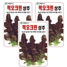 적오크린 상추 씨앗