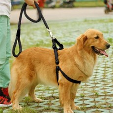모아프라임 대형견 산책 목줄 하네스 리드줄 3종 세트 공원