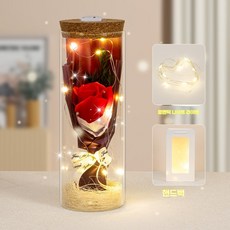 LED 조명 영생화 유리 소원병 선물 세트, 빨간 장미-A