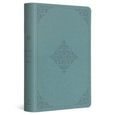 (英文圖書)ESV Student Study Bible (Trutone Paris Sky Fleur-De-Lis Design) Imitation Leather, Crossway, 英文, 仿皮