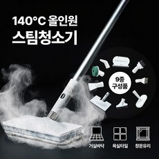다루마 9in1 리얼 스팀 청소기 물걸레 고압 살균 빠른예열 DSC-1200