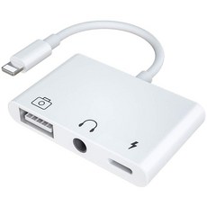 슈퍼 OTG 아이폰 아이패드 USB 젠더 유선랜 HDMI 미러링 외장하드 SSD 허브 사진 동영상 디카 파일 백업 오인페 악기 마스터 키보드 개러지 밴드, 8핀_A3_USB+AUX+충전_SSD/오인페/DAC