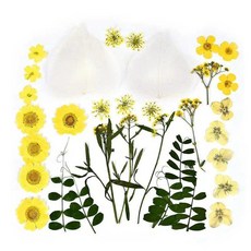 레진 압화 꽃 천연 건조 스티커 스크랩북 22종 1개, 14