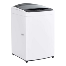 LG 통돌이 세탁기 17kg T17WX3