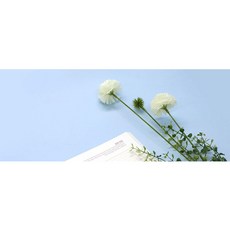 손글씨훈련 또박쓰기 문서 사무 캘리그라피 교재